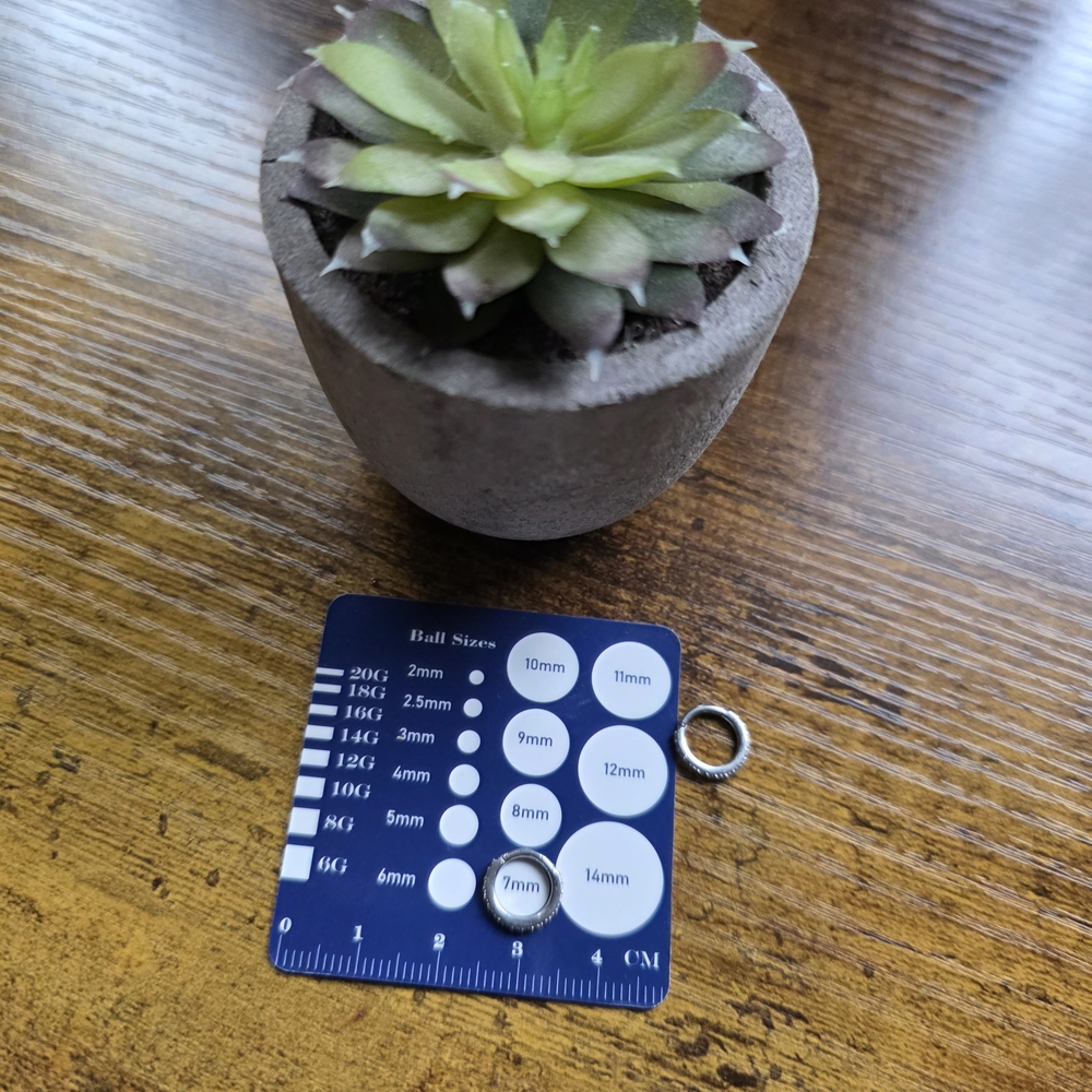 Urban Body Jewelry Silver Hoop Earrings